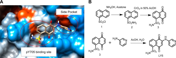 FIGURE 1.