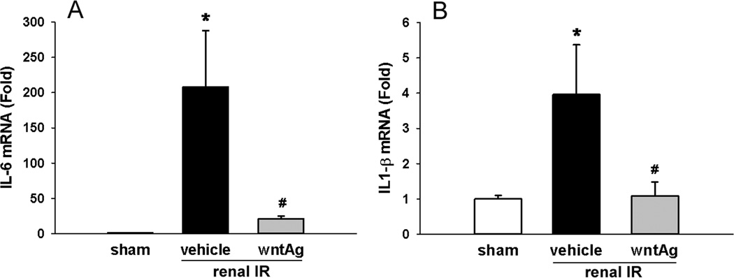 FIG. 6