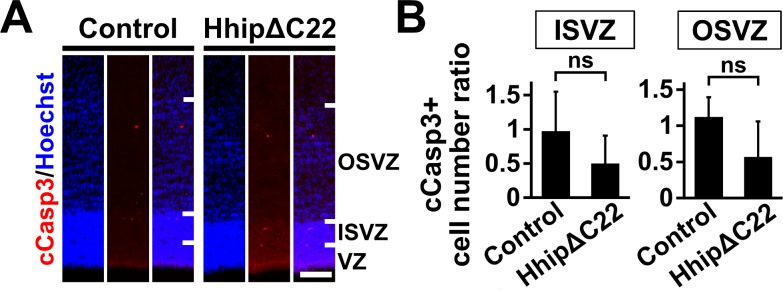 Figure 4—figure supplement 1.