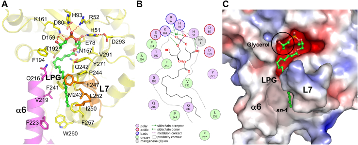 Figure 5