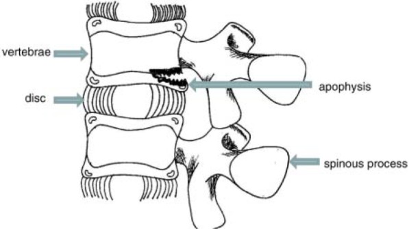 Figure 16.