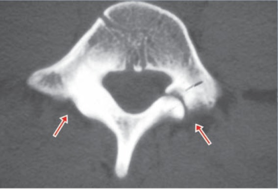 Figure 13.