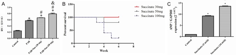 Appendix Figure 1