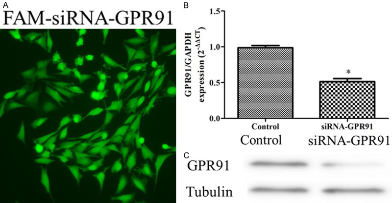 Appendix Figure 2