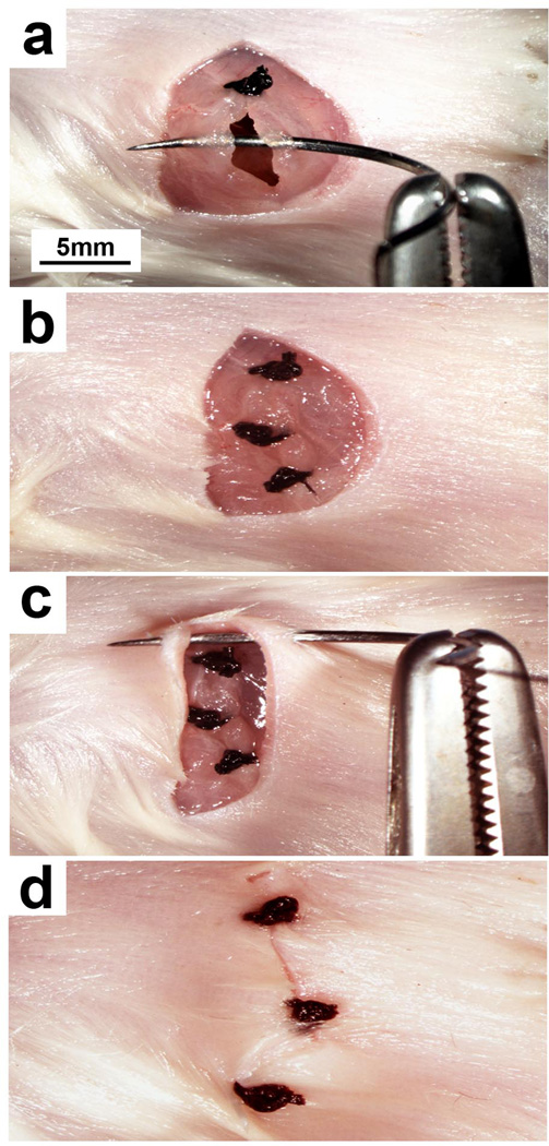 Figure 7