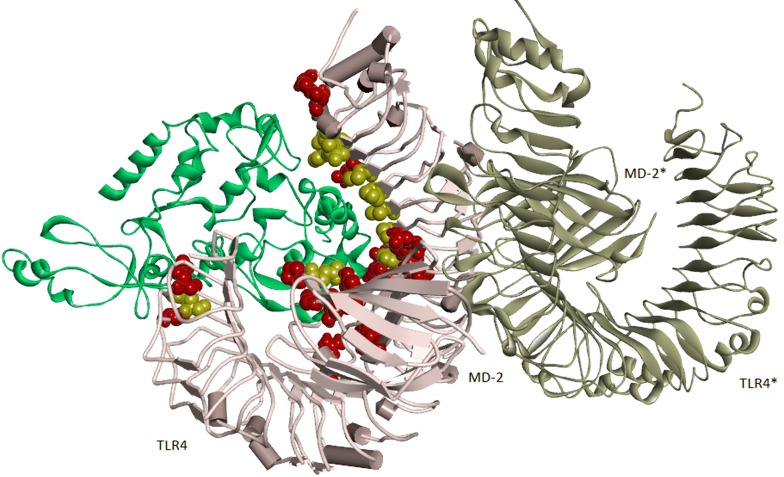 Fig. 4