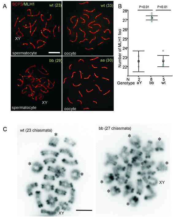 FIG. 6.