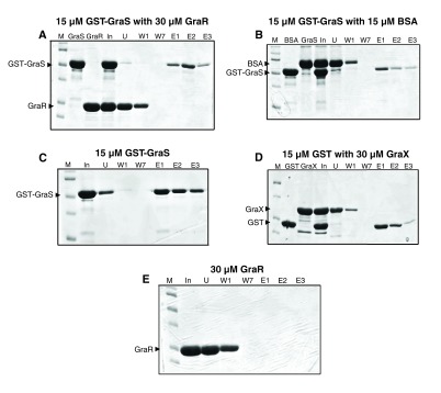 Figure 10. 