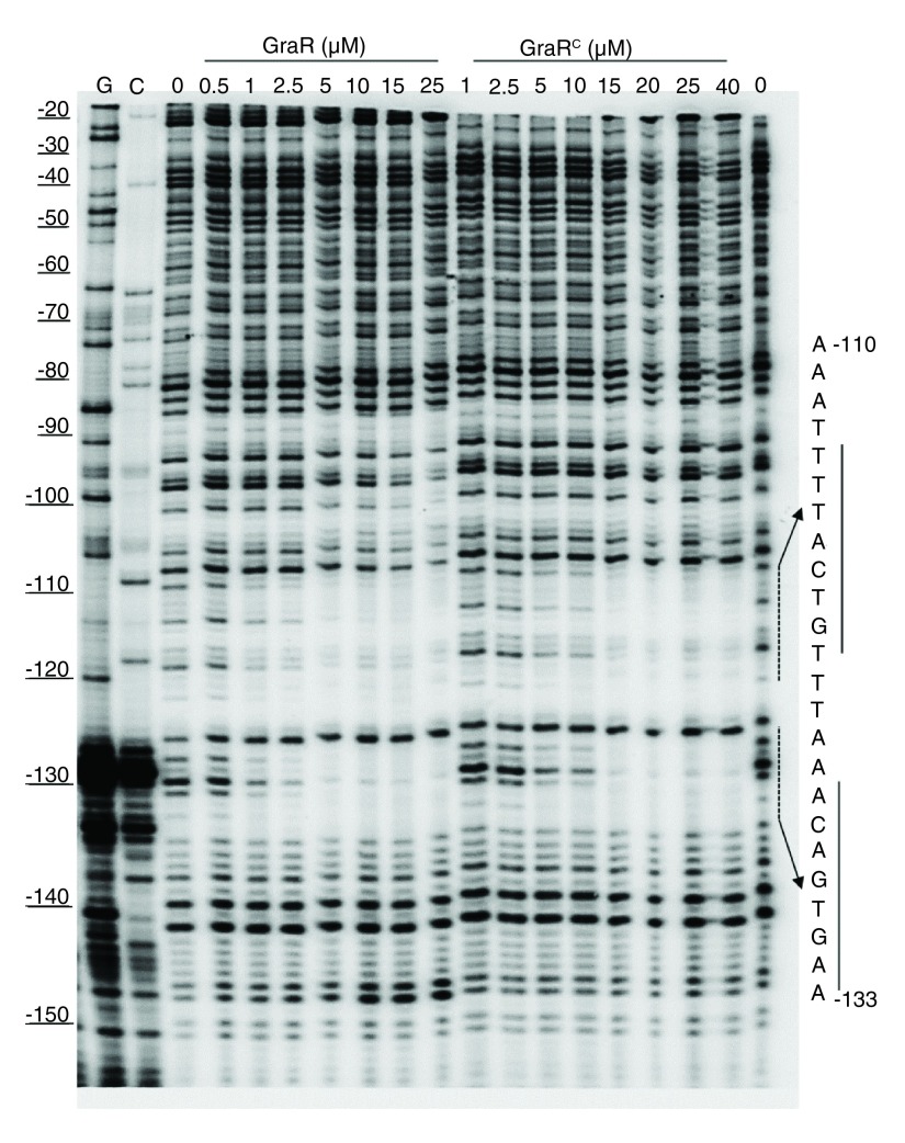 Figure 12. 