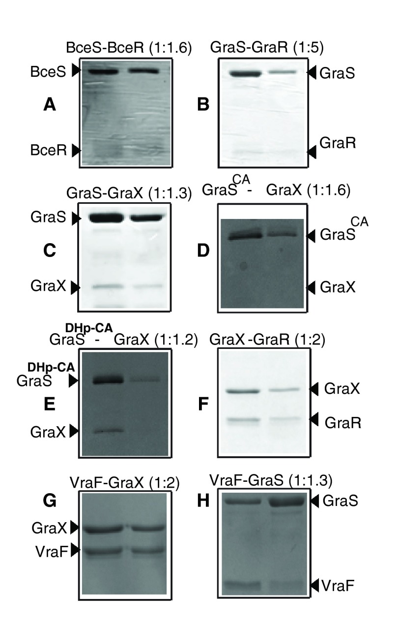 Figure 9. 