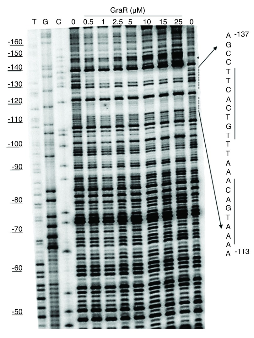 Figure 13. 