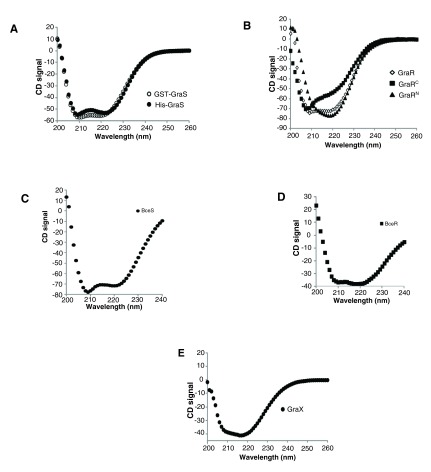 Figure 11. 