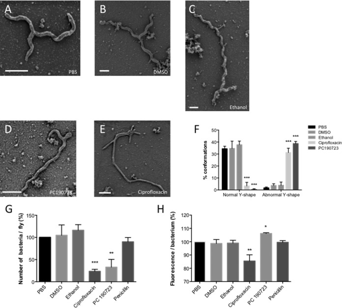 FIG 2 