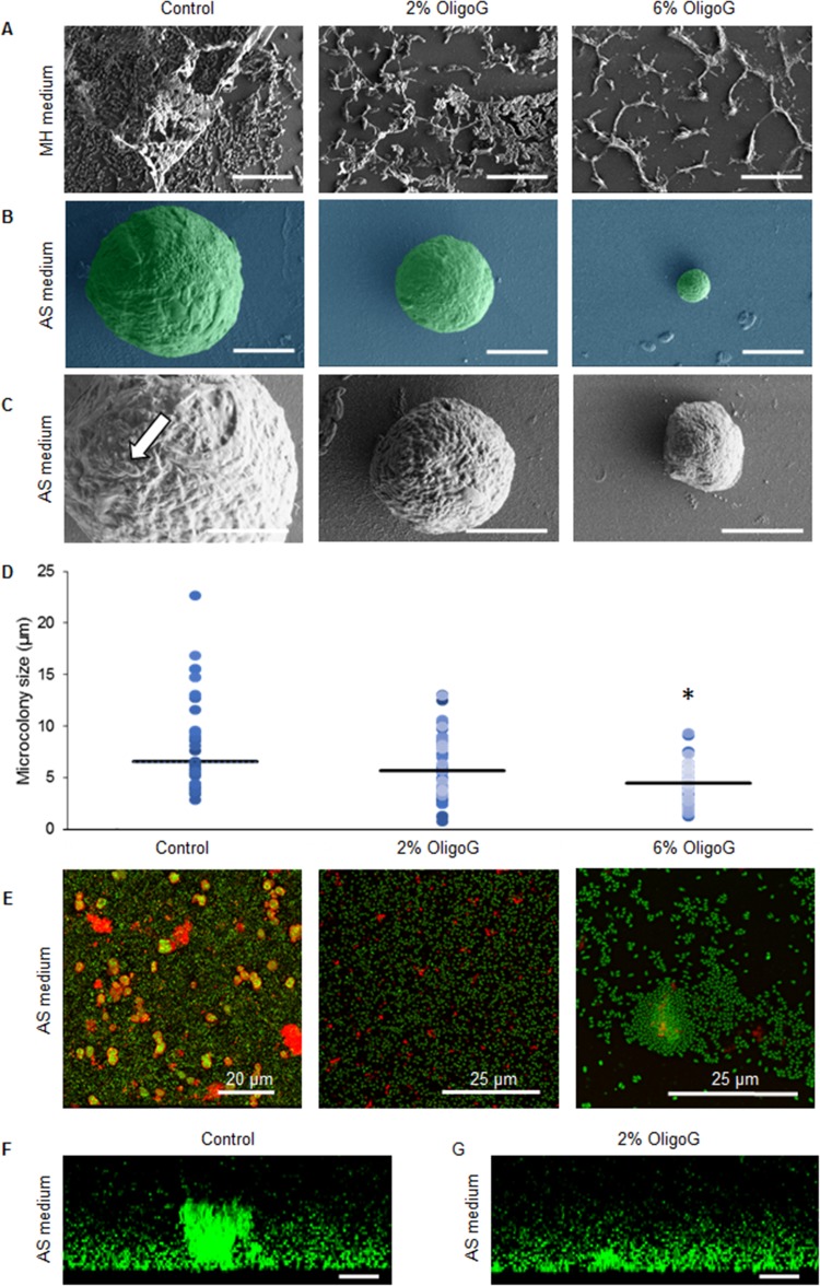 FIG 3