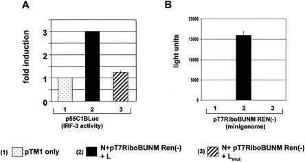 FIG. 6.