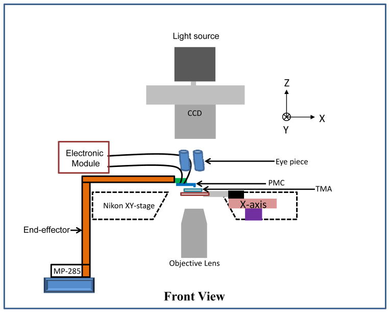 Fig. 2