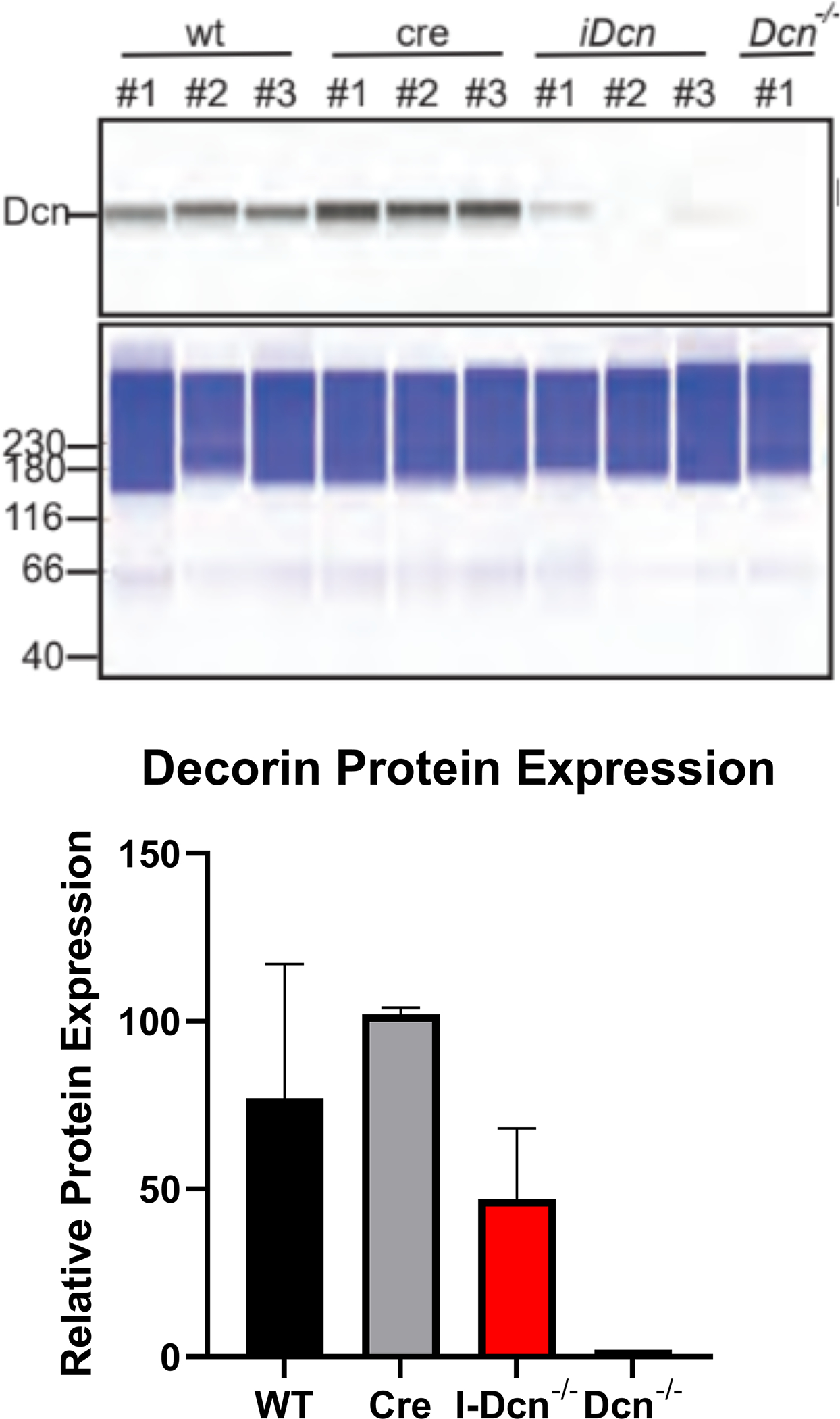 Figure 1 –