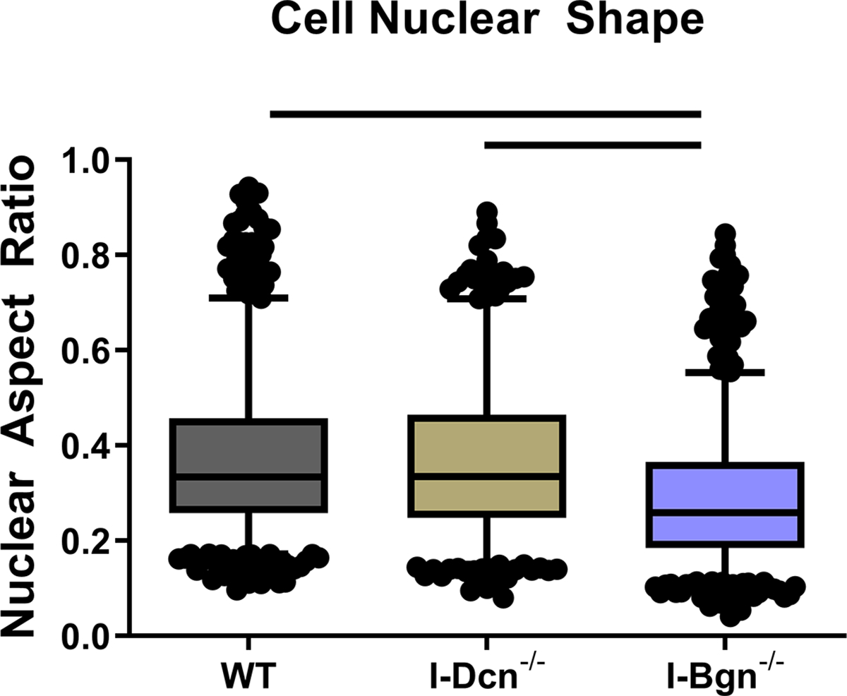 Figure 7 –