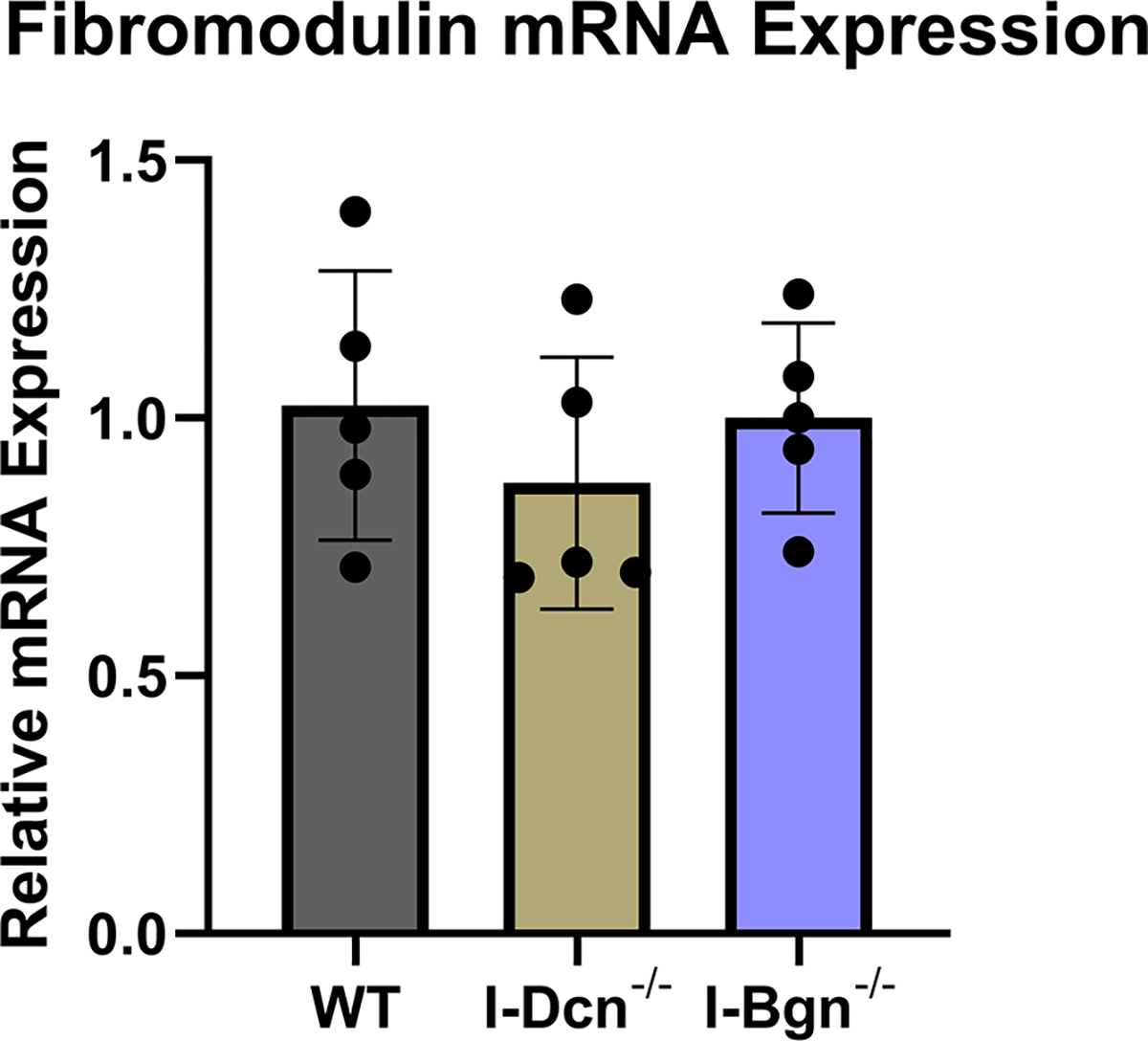 Figure 2 –