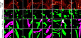 Extended Data Fig. 2