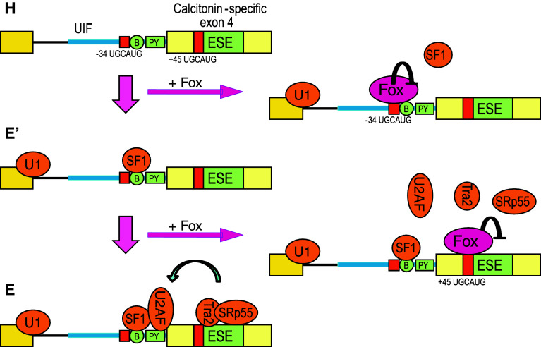 Fig. 4