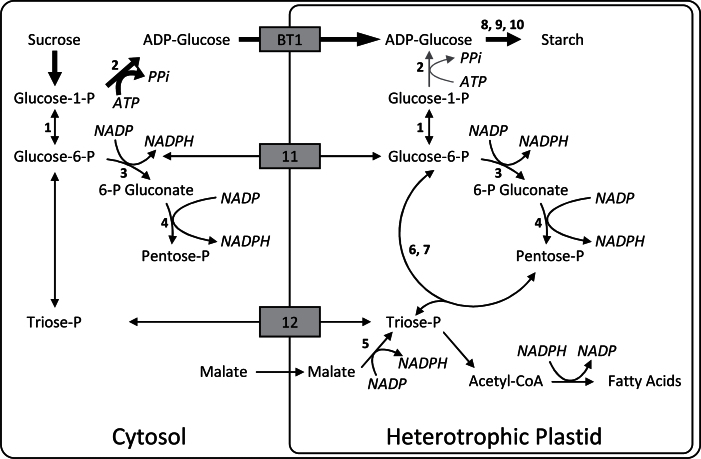 Fig. 6.