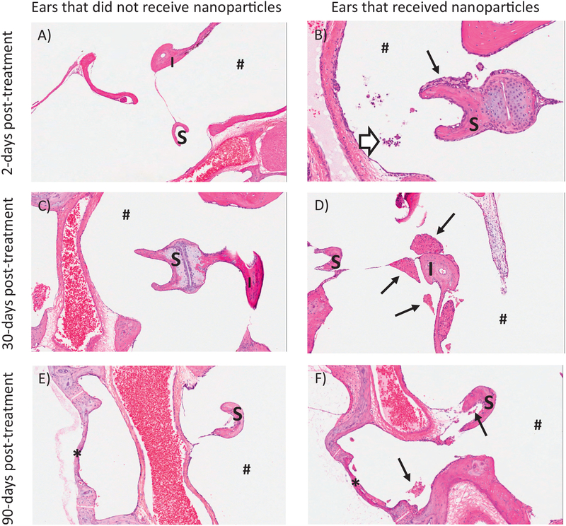 Fig. 10.