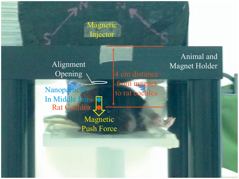 Fig. 3.