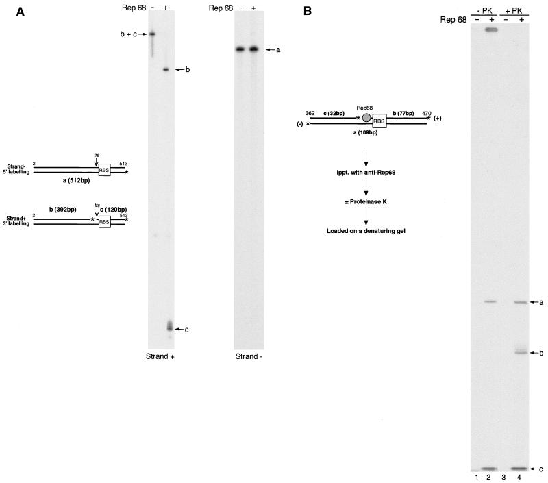 FIG. 4