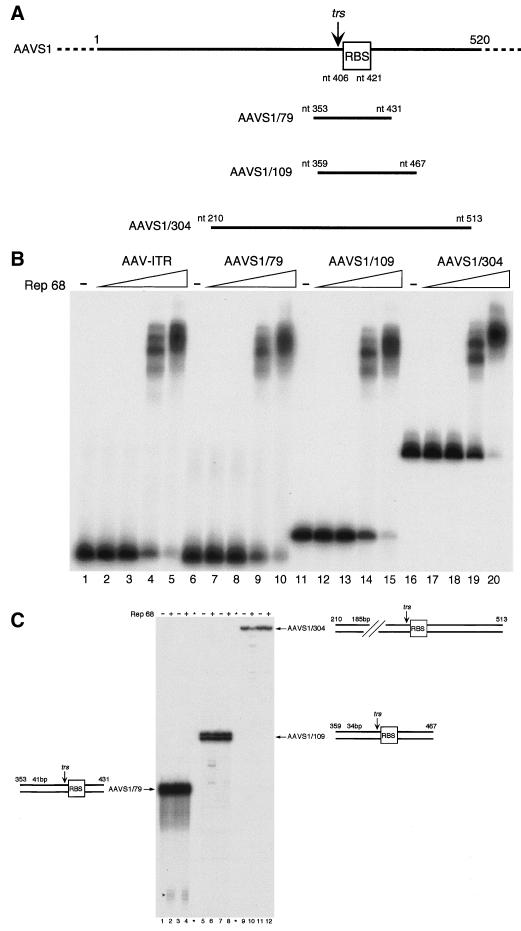 FIG. 1