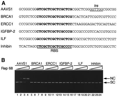 FIG. 7