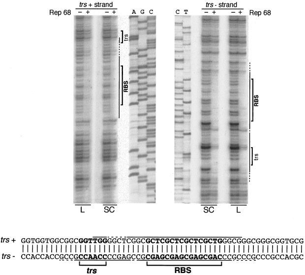 FIG. 6