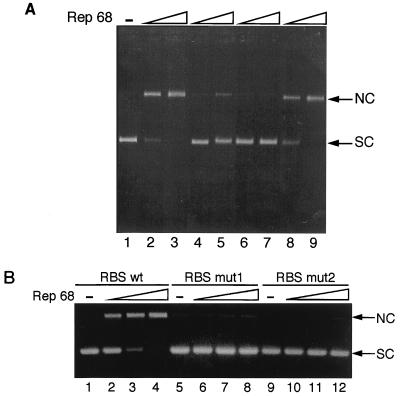 FIG. 5