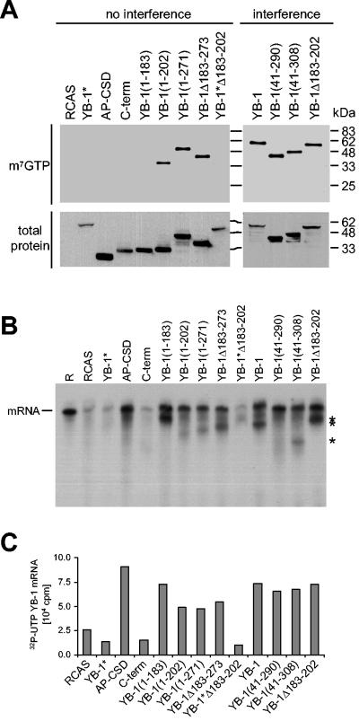 FIG. 5.