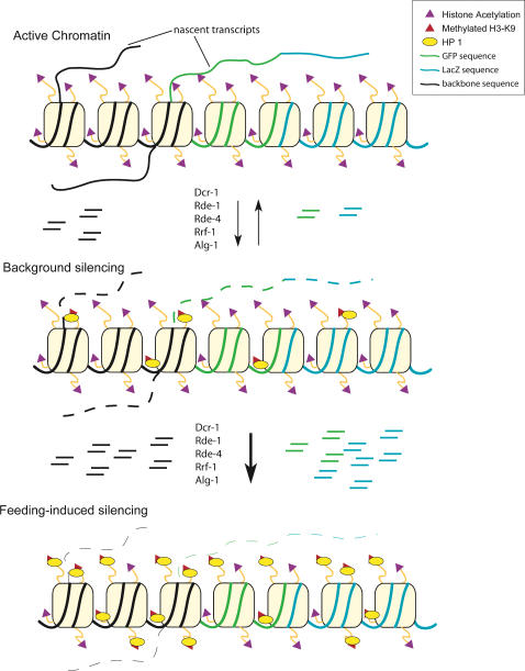 Figure 7.