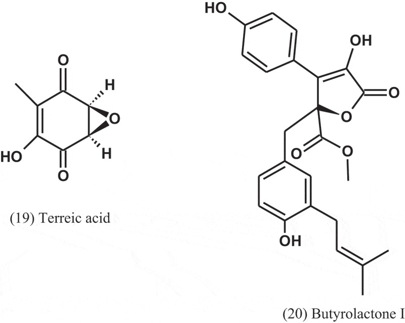 graphic file with name TMYC_A_1604576_UF0008_B.jpg