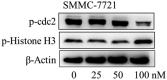 Figure 10.