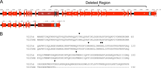 FIG. 10.