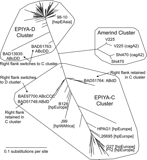 FIG. 7.