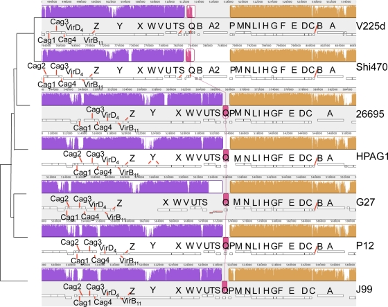 FIG. 3.