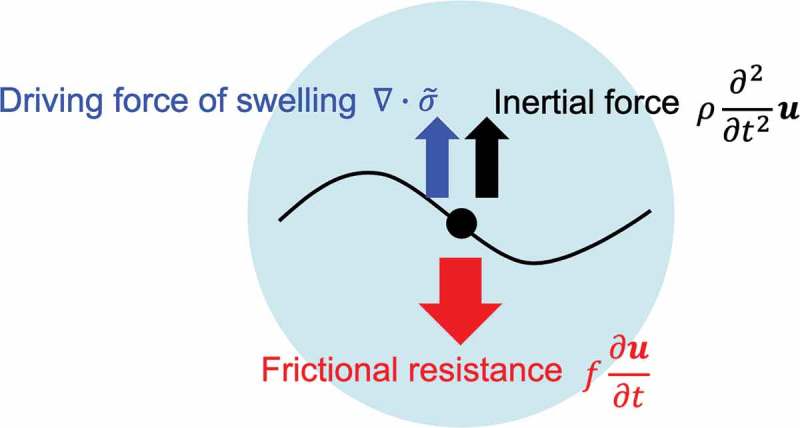 Figure 16.