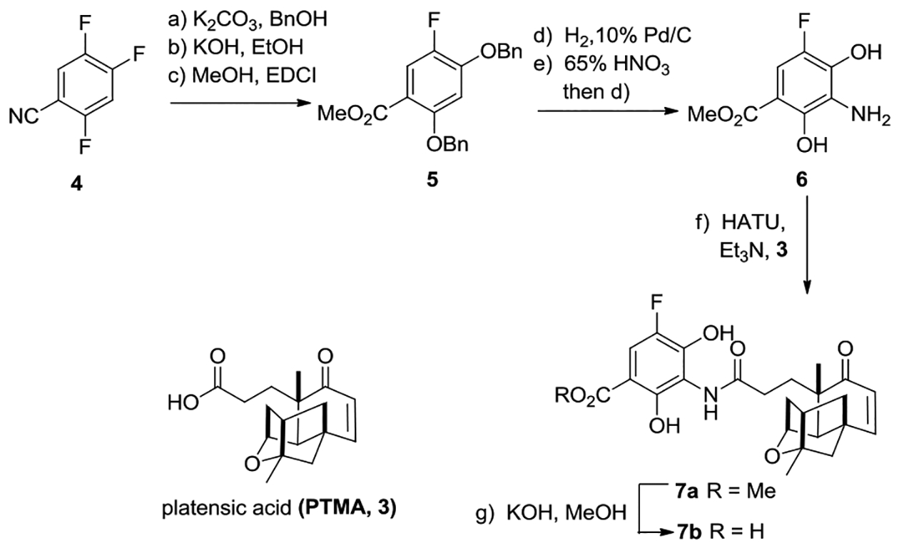 Scheme1.