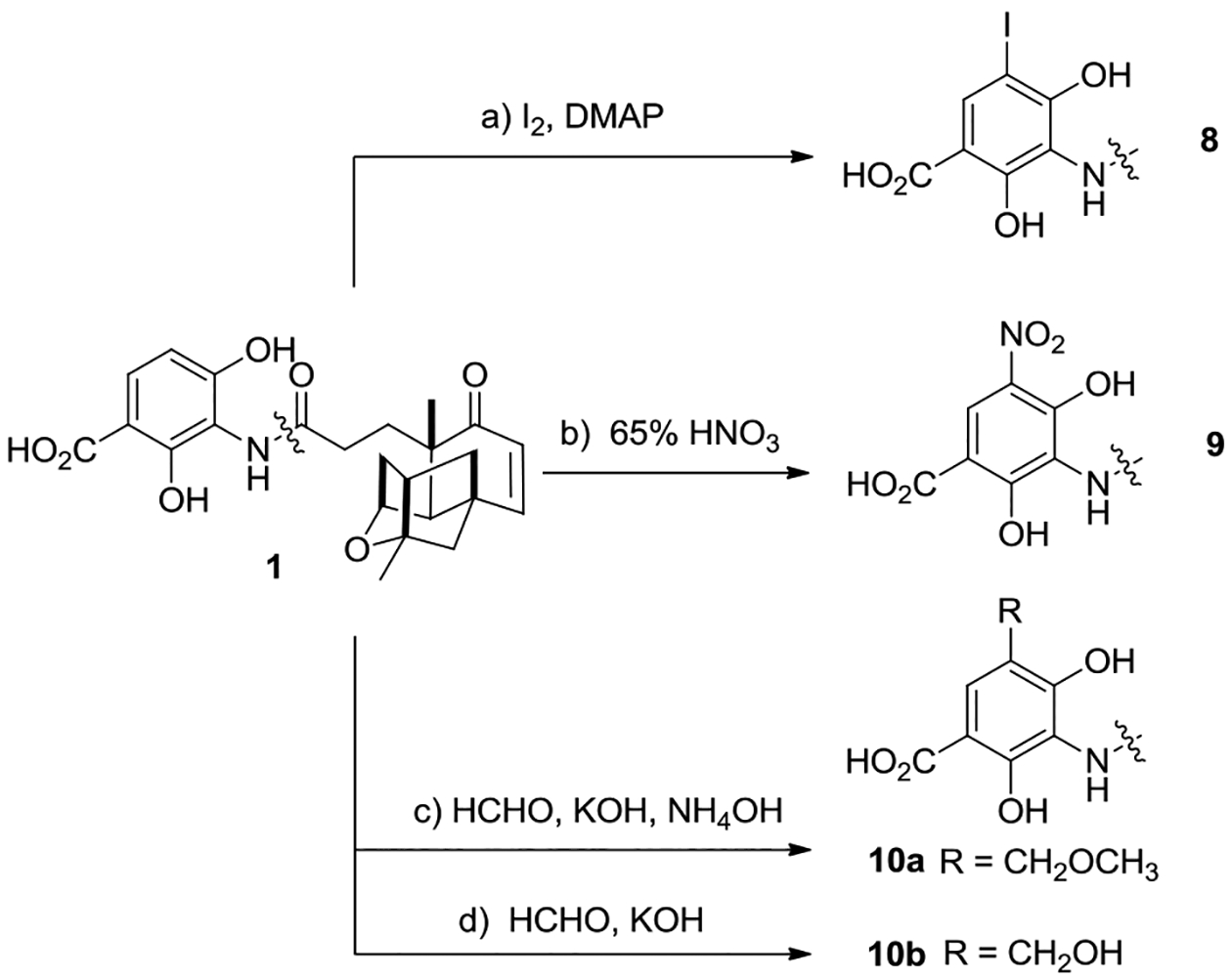 Scheme 2.