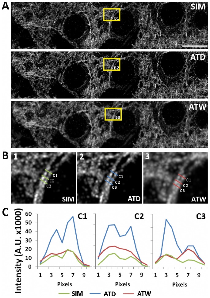 Figure 5