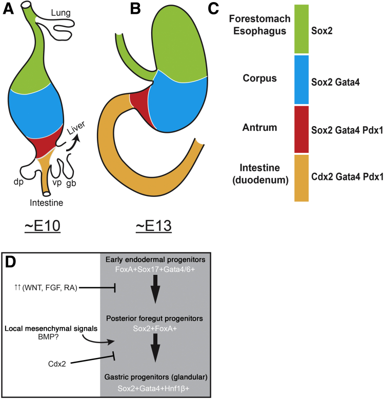 Figure 2