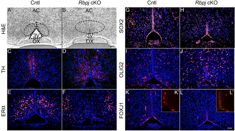 Fig. 4: