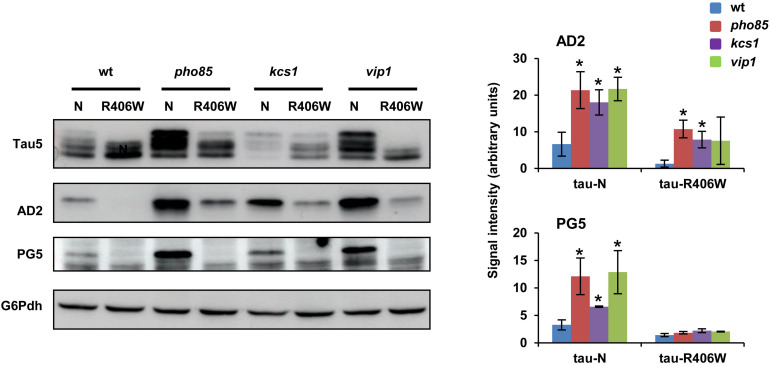 FIGURE 3