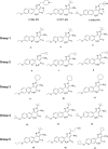 FIG 1