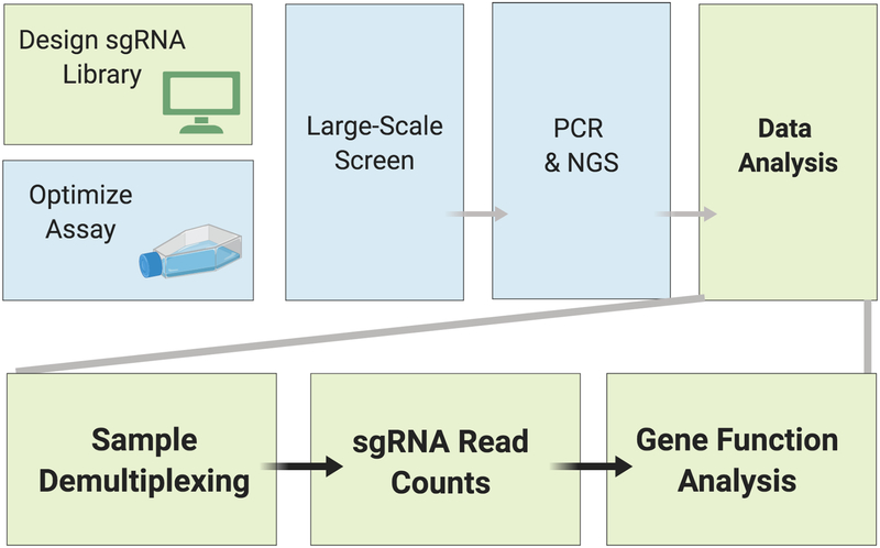 Figure 7: