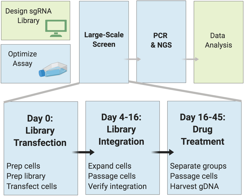 Figure 2: